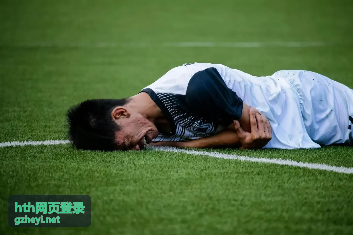 hth网页登录登录安全验证流程